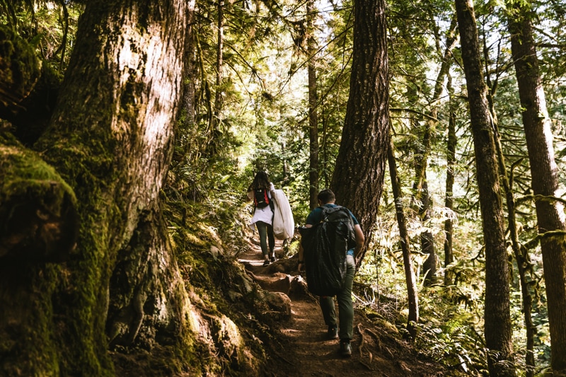 olympic national park elopement ideas